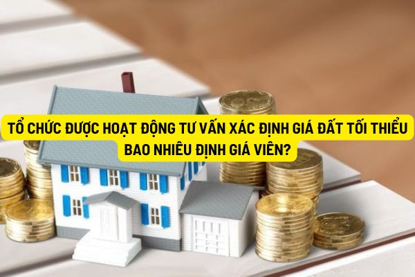 Tổ chức được hoạt động tư vấn xác định giá đất tối thiểu bao nhiêu định giá viên?