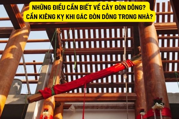 Những điều cần biết về cây đòn dông? Cần kiêng kỵ khi gác đòn dông trong nhà?