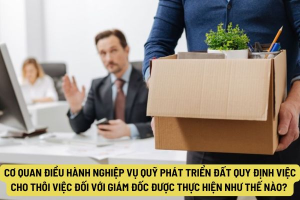 Cơ quan điều hành nghiệp vụ Quỹ phát triển đất quy định việc cho thôi việc đối với Giám đốc được thực hiện như thế nào? 