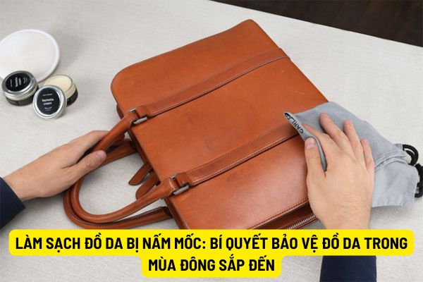 Làm sạch đồ da bị nấm mốc: Bí quyết bảo vệ đồ da trong mùa đông sắp đến