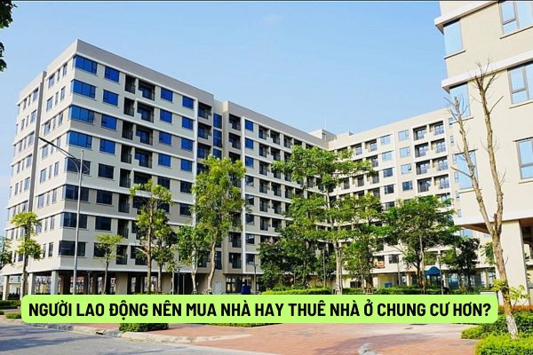 Người lao động nên mua nhà hay thuê nhà ở chung cư hơn? Lựa chọn có lợi hơn?