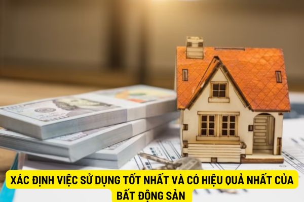 Từ ngày 05/08/2024 việc xác định việc sử dụng tốt nhất và có hiệu quả nhất của bất động sản dựa trên cơ sở nào?