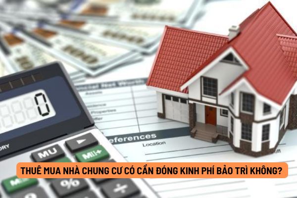 Thuê mua nhà chung cư có cần đóng kinh phí bảo trì của nhà chung cư không?