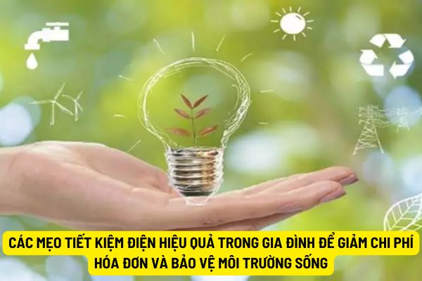 Các mẹo tiết kiệm điện hiệu quả trong gia đình để giảm chi phí hóa đơn và bảo vệ môi trường sống