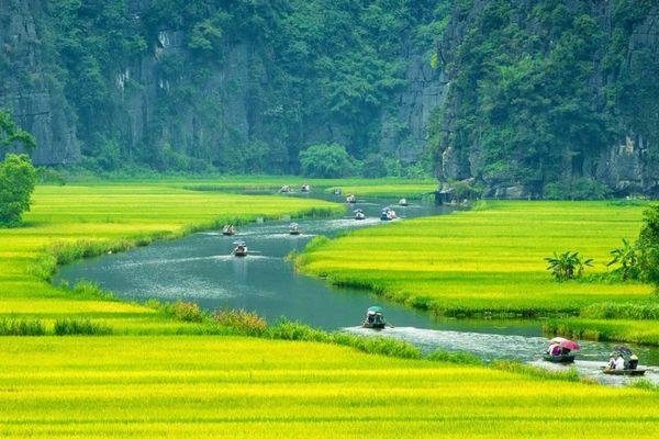 Top 5 bài văn tả phong cảnh quê hương, đất nước Việt Nam