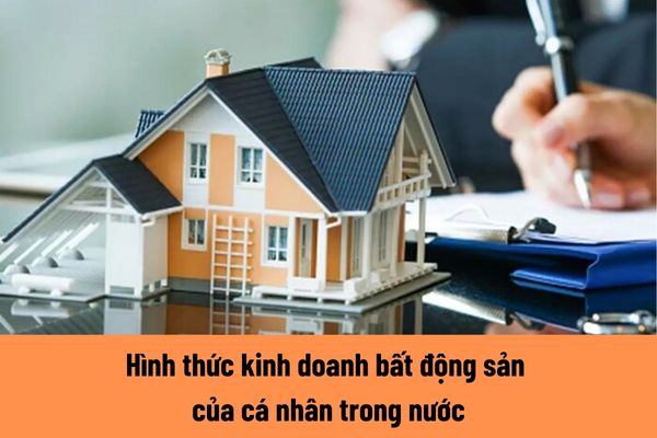 Các hình thức kinh doanh bất động sản của cá nhân trong nước được quy định như thế nào?