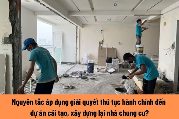 guyên tắc nào được áp dụng trong việc giải quyết thủ tục hành chính liên quan đến dự án cải tạo, xây dựng lại nhà chung cư?