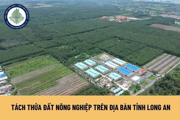 Điều kiện tách thửa đất nông nghiệp trên địa bàn tỉnh Long An như thế nào?