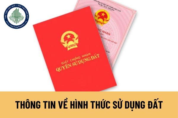 Thông tin về hình thức sử dụng đất được thể hiện ra sao tại Thông tư 10/2024/TT-BTNMT?