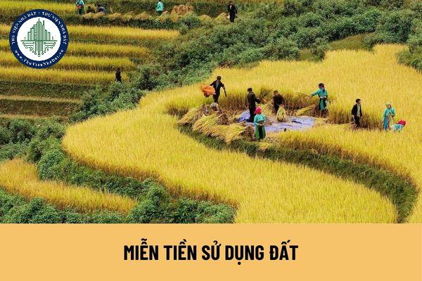 Dân tộc Dao có thuộc đối tượng được miễn tiền sử dụng đất khi sinh sống tại thành phố Lào Cai không?