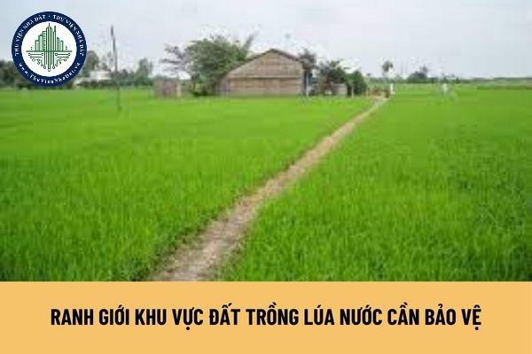 Ranh giới khu vực đất trồng lúa nước cần bảo vệ là gì? Cơ sở để xác định ranh giới, diện tích đất trồng lúa nước cần bảo vệ