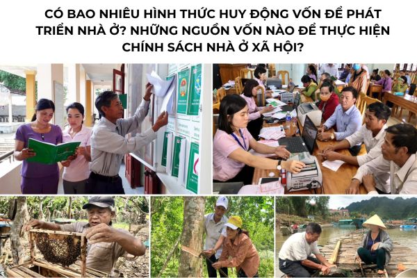 thuviennhadat.vn