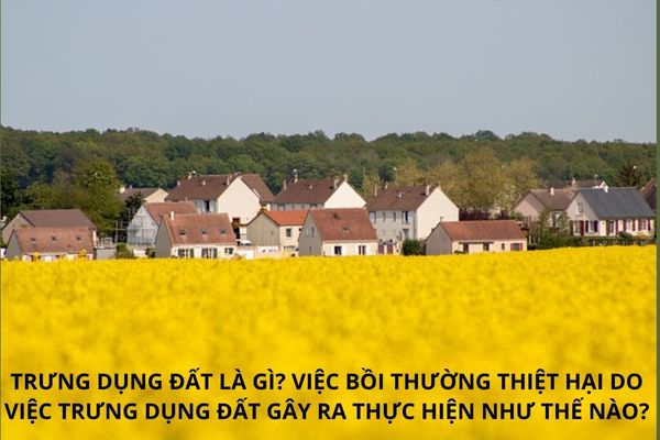 thuviennhadat.vn