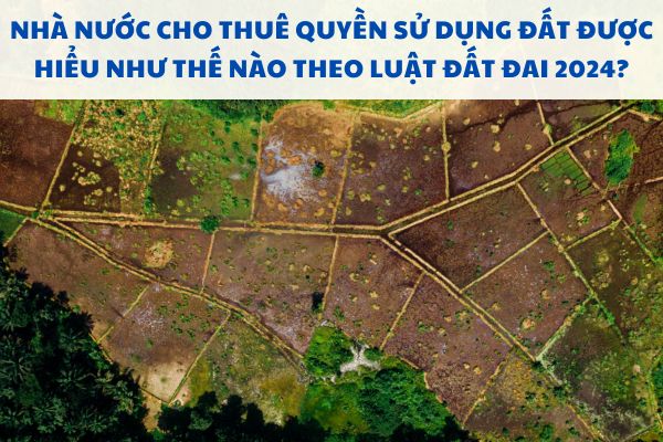 Nhà nước cho thuê quyền sử dụng đất được hiểu như thế nào theo Luật Đất đai 2024?