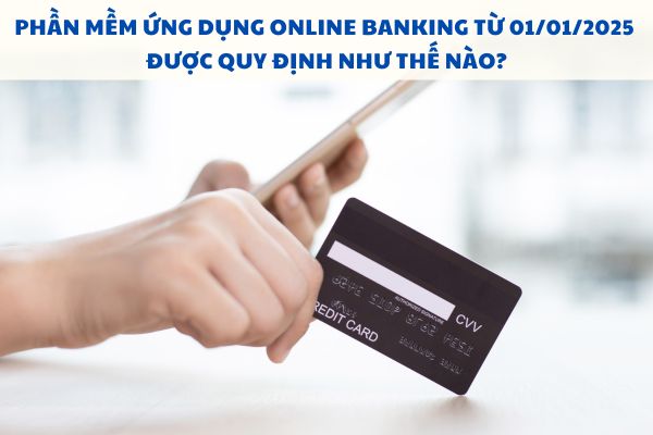 Phần mềm ứng dụng Online Banking là gì? Yêu cầu đặt ra khi kiểm soát mã nguồn phần mềm ứng dụng Online Banking từ 01/01/2025?