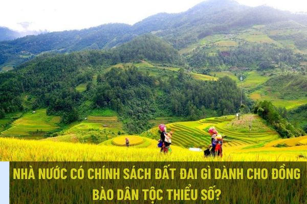 Nhà nước có chính sách đất đai gì dành cho đồng bào dân tộc thiểu số? Đất để thực hiện chính sách này là từ đâu? (Ảnh từ Internet)