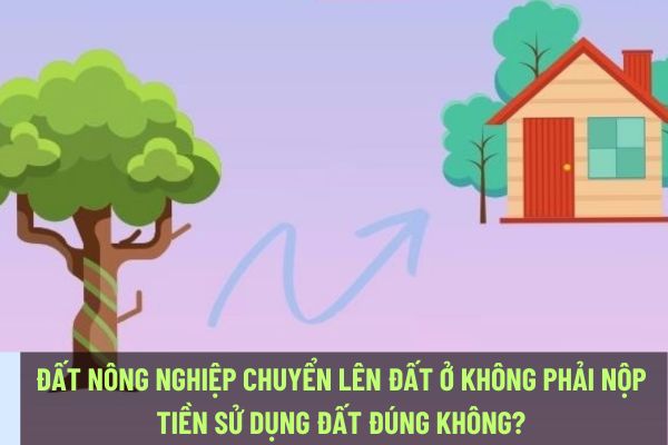 Đất nông nghiệp chuyển lên đất ở không phải nộp tiền sử dụng đất đúng không? Trường hợp chuyển mục đích sử dụng đất nào thì phải nộp tiền sử dụng đất?