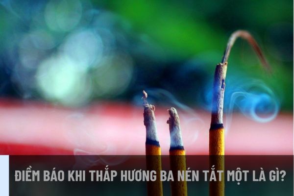 Điềm báo khi thắp hương ba nén tắt một là gì? Thắp hương và đốt nhang giống nhau hay khác nhau? (Ảnh từ Internet)