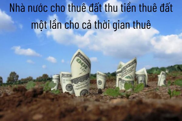 thuviennhadat.vn