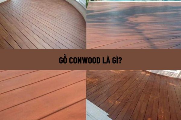 Gỗ Conwood là gì? Ứng dụng của gỗ Conwood trong đời sống như thế nào?