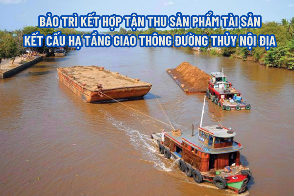 thuviennhadat.vn