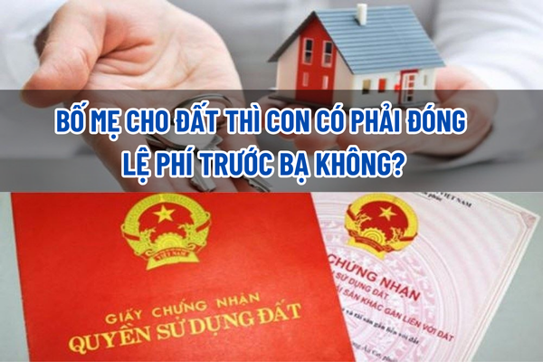 thuviennhadat.vn