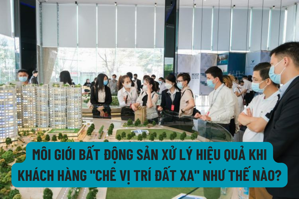 thuviennhadat.vn