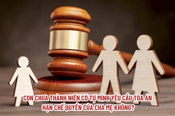 Con chưa thành niên có thể tự mình yêu cầu Tòa án hạn chế quyền của cha mẹ hay không?