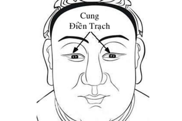 Cung Điền Trạch