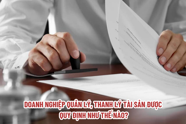 Doanh nghiệp quản lý, thanh lý tài sản là gì? Cá nhân nào không được hành nghề quản lý, thanh lý tài sản?