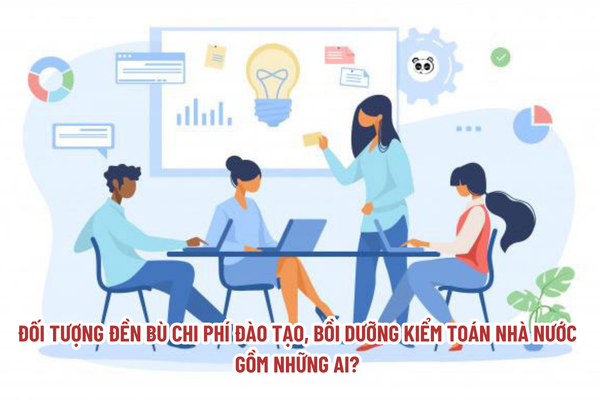 Đối tượng đền bù chi phí đào tạo, bồi dưỡng Kiểm toán nhà nước gồm những ai?