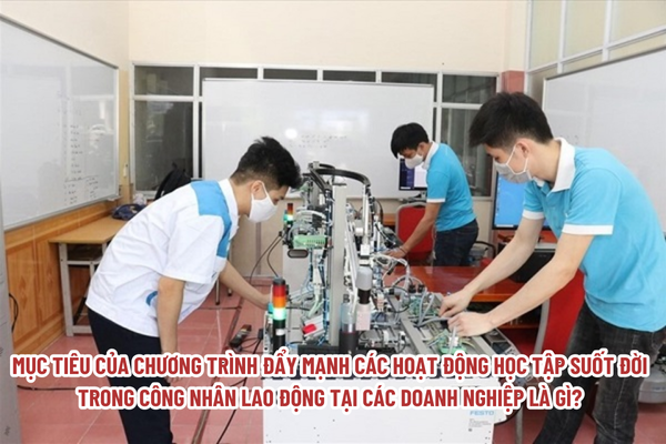 Chương trình đẩy mạnh hoạt động học tập suốt đời trong công nhân lao động tại các doanh nghiệp nhằm đạt được mục tiêu gì?