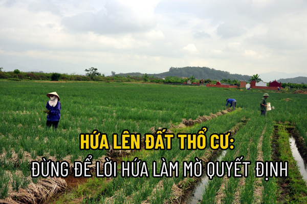 thuviennhadat.vn