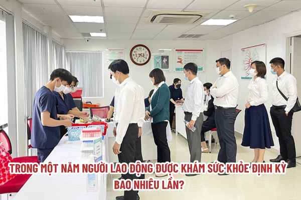 Trong một năm người lao động được khám sức khỏe định kỳ bao nhiêu lần?