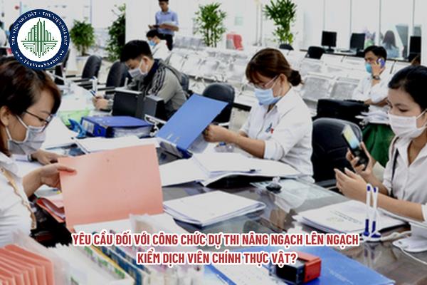 Yêu cầu đối với công chức dự thi nâng ngạch lên ngạch kiểm dịch viên chính thực vật? Chức trách, nhiệm vụ ngạch công chức kiểm dịch viên thực vật là gì?