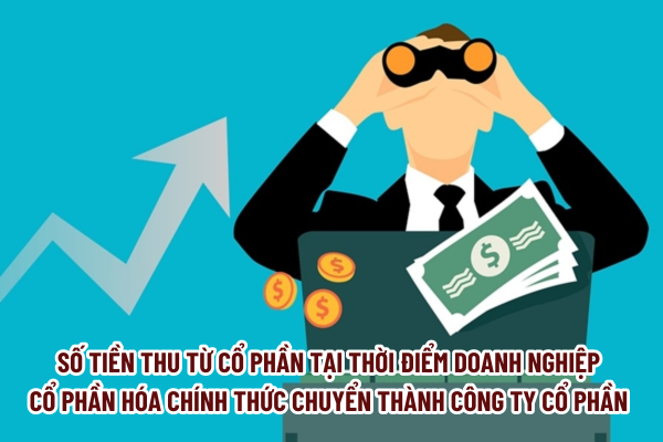 thuviennhadat.vn