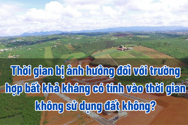 thuviennhadat.vn