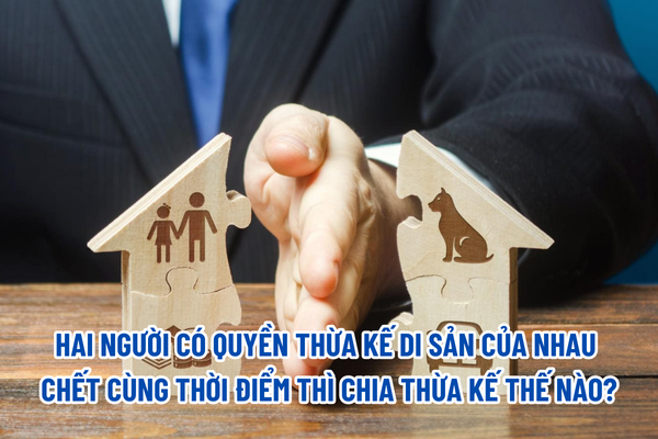 thuviennhadat.vn