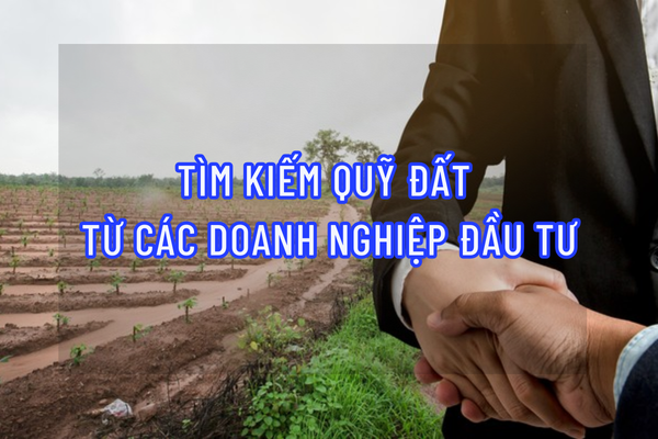 thuviennhadat.vn