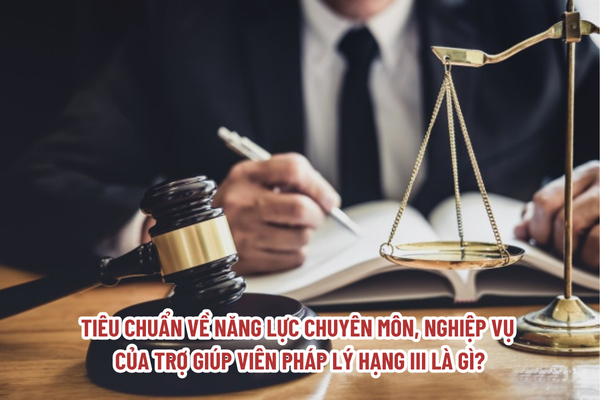 Tiêu chuẩn về năng lực chuyên môn, nghiệp vụ của trợ giúp viên pháp lý hạng III là gì?