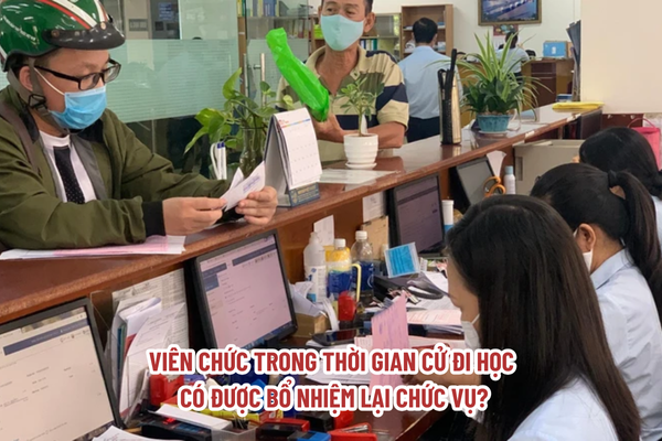 Viên chức trong thời gian cử đi học có được bổ nhiệm lại chức vụ?