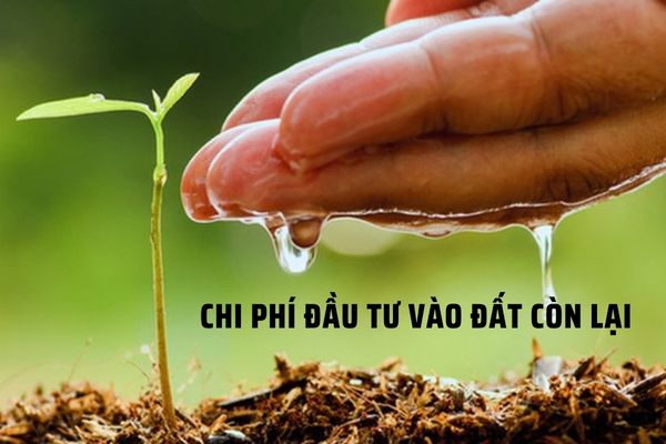 Chi phí đầu tư vào đất còn lại là gì? Bao gồm các khoản phí nào?