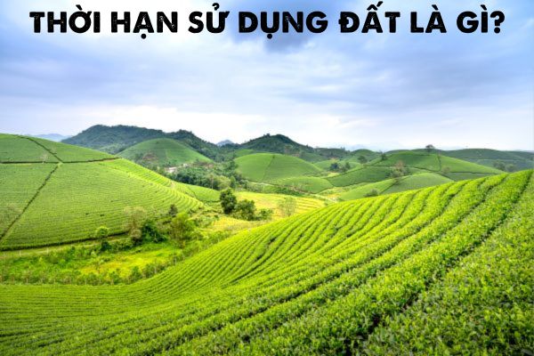 thoi-han-su-dung-dat-la-gi-co-the-dieu-chinh-thoi-han-su-dung-dat-hay-khong