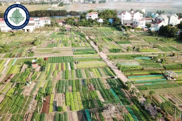 Tỉnh Tuyên Quang ban hành Đơn giá bồi thường thiệt hại về cây trồng, vật nuôi và hỗ trợ di dời vật nuôi khi thu hồi đất