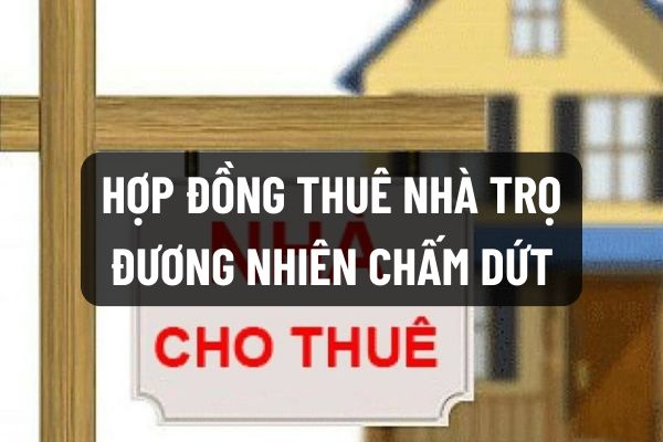 thuviennhadat.vn