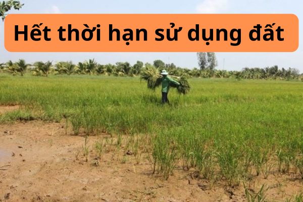 thuviennhadat.vn