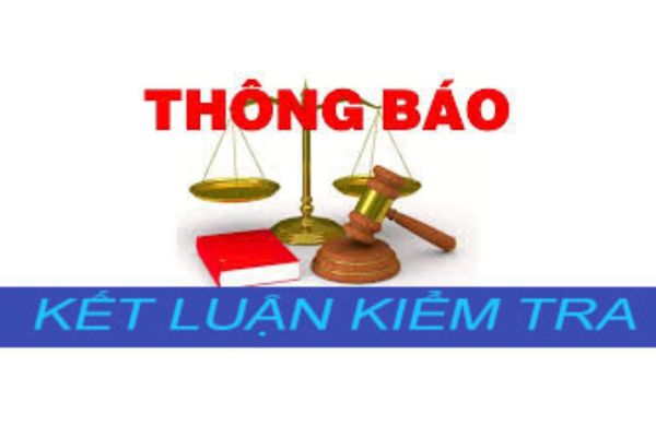 thuviennhadat.vn