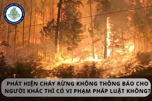 Phát hiện cháy rừng không thông báo cho người khác thì có vi phạm pháp luật không?