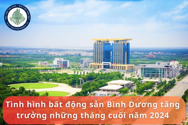 Tình hình bất động sản Bình Dương tăng trưởng những tháng cuối năm 2024