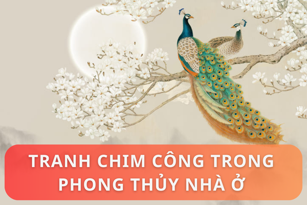 Tranh chim công trong phong thủy